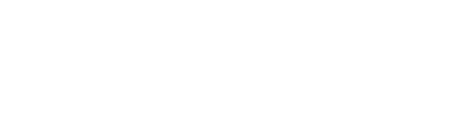 Spingy
